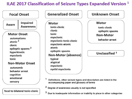 types of seizures